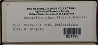 Image Associated With the Occurence
